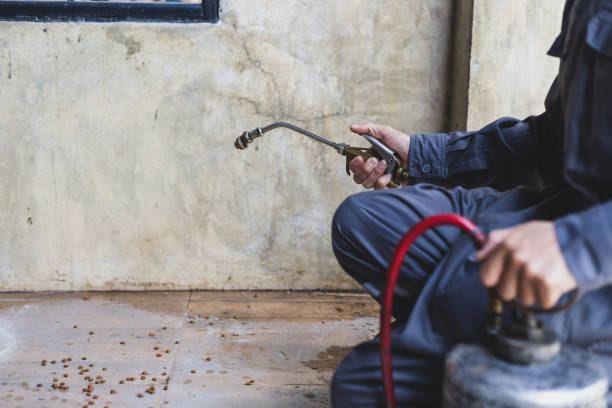 Best Pest Control Near Me  in North Fair Oaks, CA